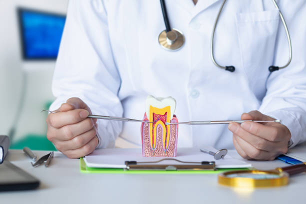 Best Pediatric Emergency Dentist in Goodrich, MI
